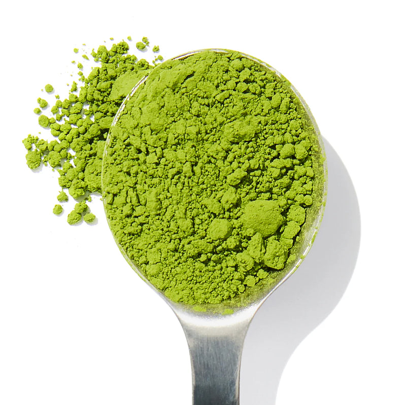 Matcha Nấm Hầu Thủ - Tăng cường khả năng tập trung