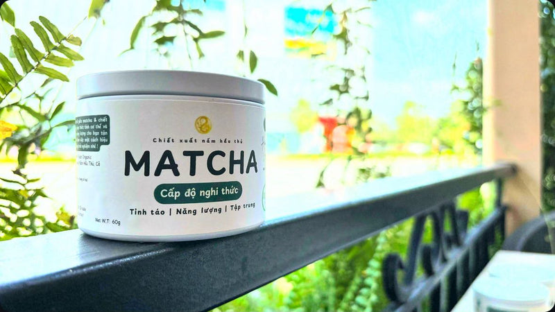 Matcha Nấm Hầu Thủ - Tăng cường khả năng tập trung